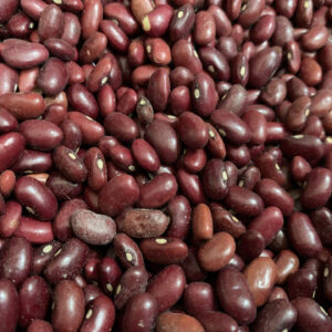 Topical view of hundreds of red kidney beans with nothing else in the picture
