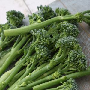 Green Sprouting Calabrese Broccoli florets on a table