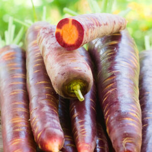 A stack of Cosmic Purple Carrots showing its purple skin and orange centers