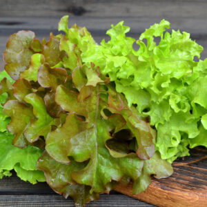 Oakleaf Green Lettuce picked and piled on a rustic wooden table