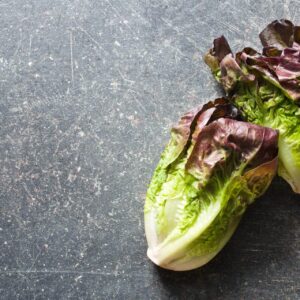 Two frwsh Romaine Red Cos Lettuces resting on a concrete bench top.