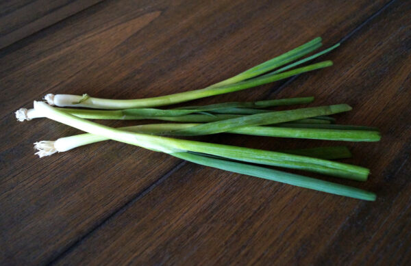 A few Evergreen Bunching Spring Onions on a table showing white and green stalks