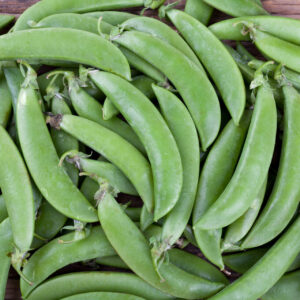 Harvested Cascadia Sugarsnap peas in a pile on the table