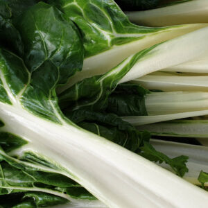Closeup of Chard Fordhook Giant silverbeets white stalks and green leaves