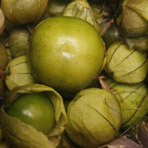 Tomatillos up close with the husk still attached