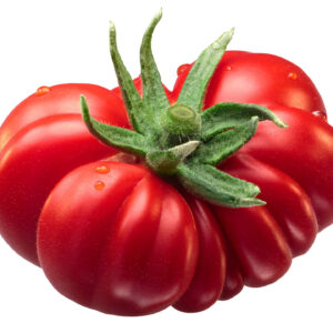 tomato costoluto fiorentino on a white backgroundo