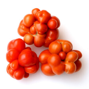 Several Reisetomate tomato showing their lumpy style