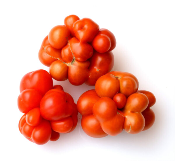 Several Reisetomate tomato showing their lumpy style