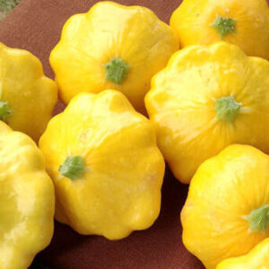 Yellow Scallop Squash in a table