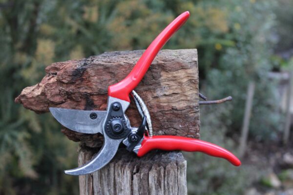 Shears open to show cutting ability