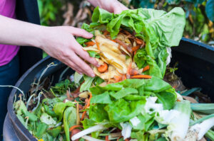 Person composting vegetables scraps in a bin