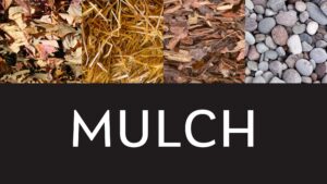 Four different types of mulch