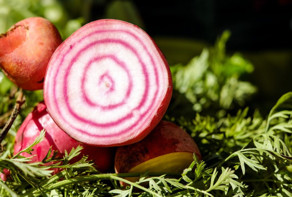 Chioggia beetroot cut to see the red and white rings