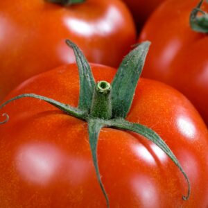 Red Grosse Lisse Tomatoes