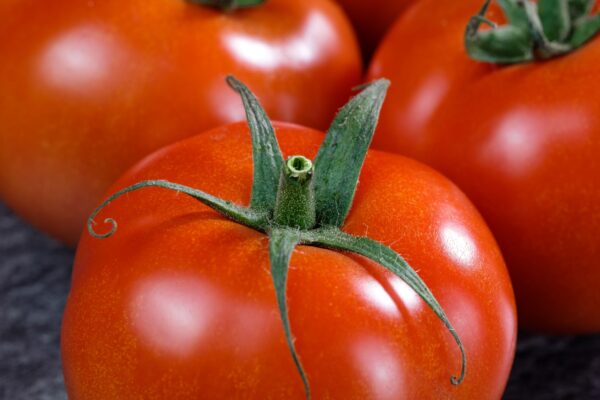 Red Grosse Lisse Tomatoes