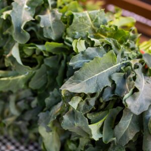 Image of Spigariello Leaf Broccoli, a Vegetable, in a bunch on a table.